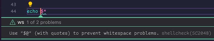 screenshot of VS Code showing the code “echo $*” with an error below saying “Use "$@" (with quotes) to prevent whitespace problems